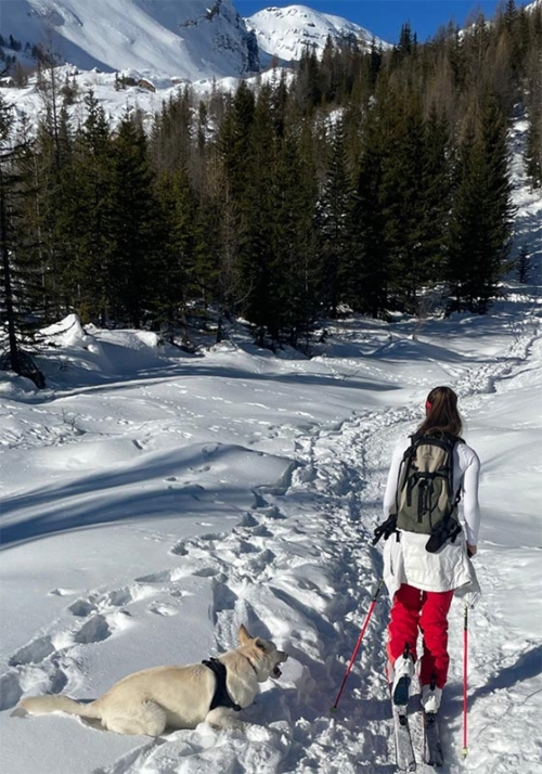 Tour en peaux de phoque à Anzère Tour en peaux de phoque à Anzère
